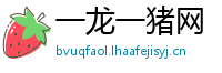 一龙一猪网